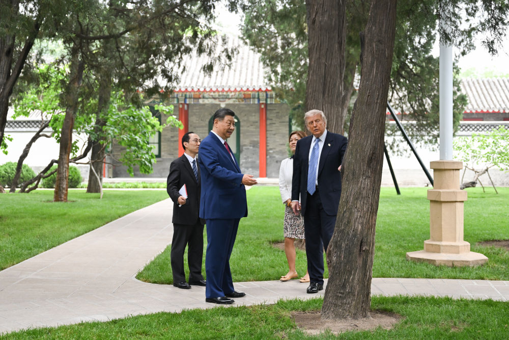 習近平與特朗普中南海園林散步賞景  展示數百年樹齡古樹